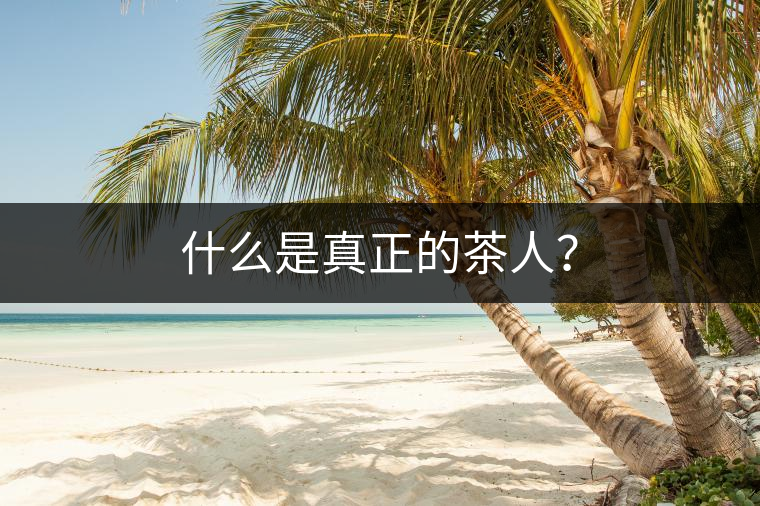 什么是真正的茶人？