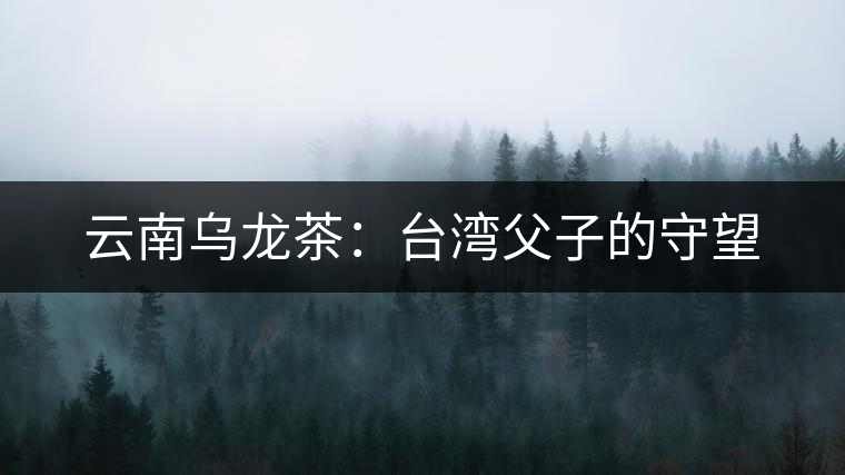 云南烏龍茶:臺灣父子的守望 云南烏龍茶:臺灣父子的守望