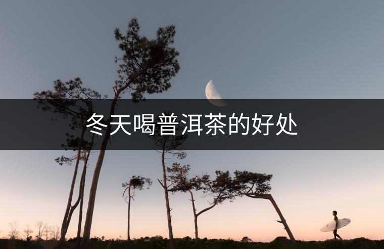 冬天喝普洱茶的好處