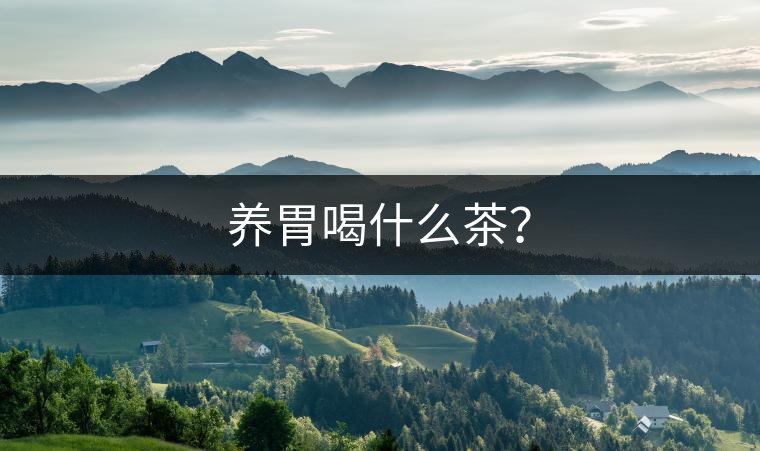 養(yǎng)胃喝什么茶？