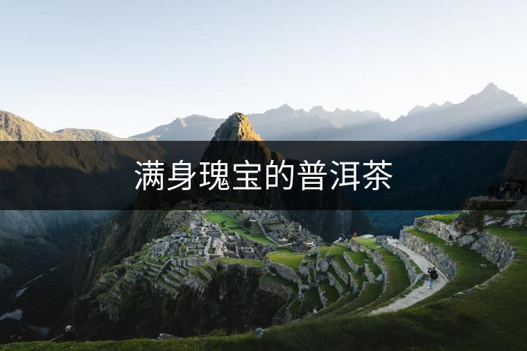 滿身瑰寶的普洱茶 滿身瑰寶的普洱茶