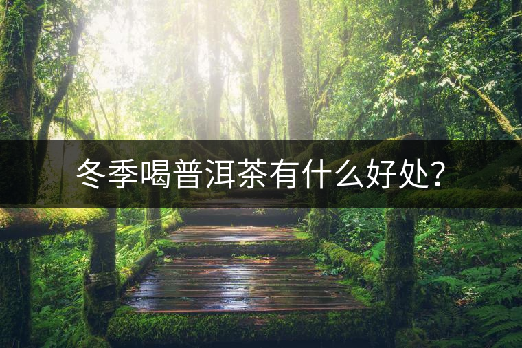 冬季喝普洱茶有什么好處？
