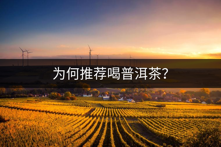 為何推薦喝普洱茶？