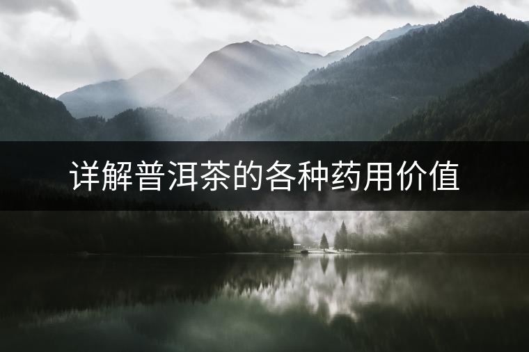 詳解普洱茶的各種藥用價(jià)值