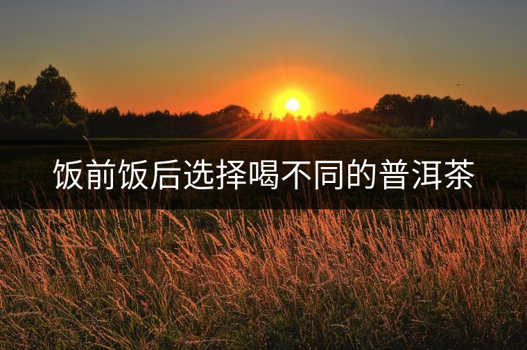 飯前飯后選擇喝不同的普洱茶 飯前飯后選擇喝不同的普洱茶