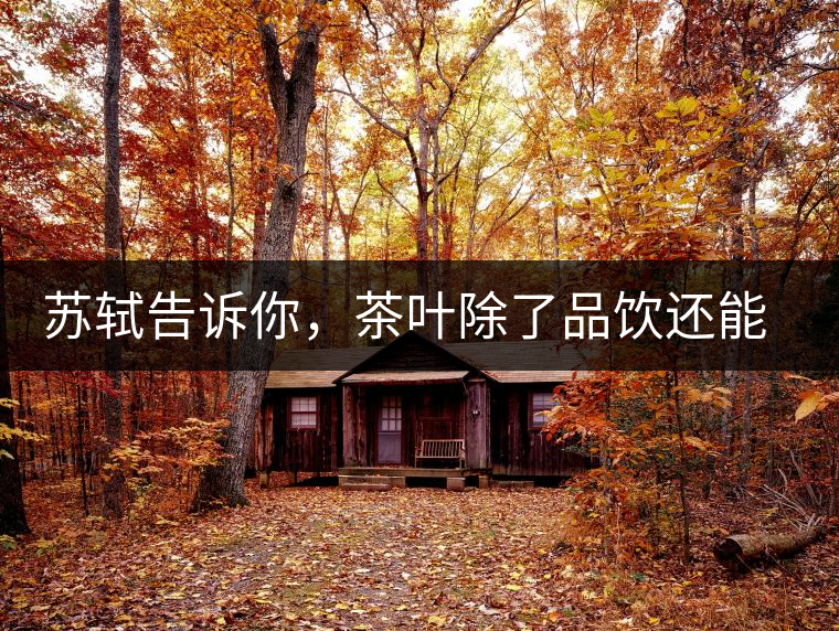 蘇軾告訴你，茶葉除了品飲還能做什么？