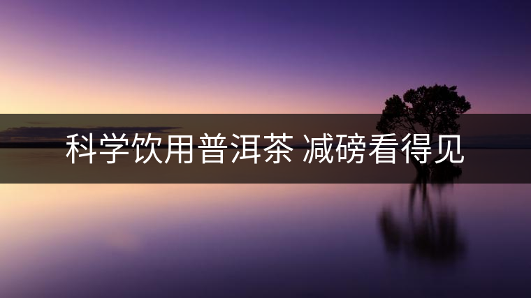 科學(xué)飲用普洱茶 減磅看得見 科學(xué)飲用普洱茶 減磅看得見