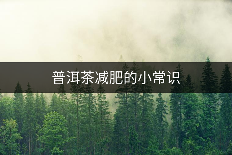 普洱茶減肥的小常識(shí) 普洱茶減肥的小常識(shí)