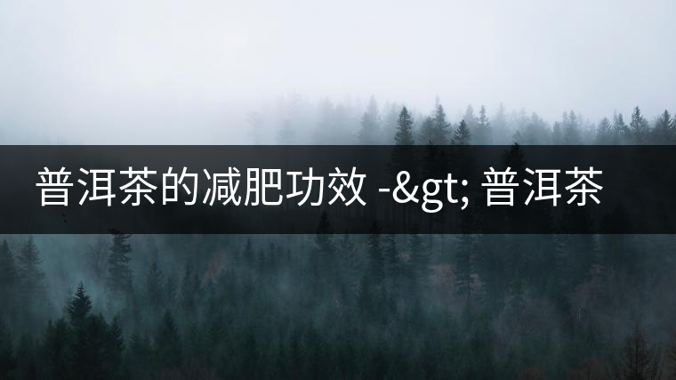 普洱茶的減肥功效 -> 普洱茶減肥基理