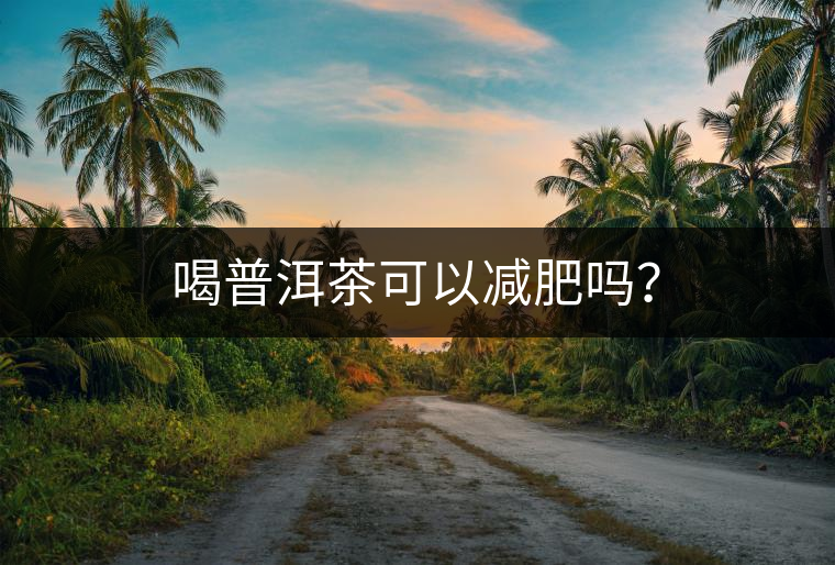 喝普洱茶可以減肥嗎？