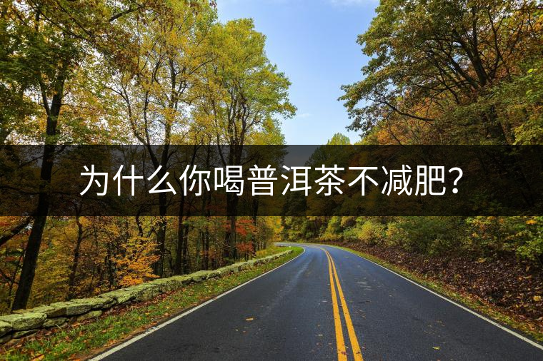 為什么你喝普洱茶不減肥？