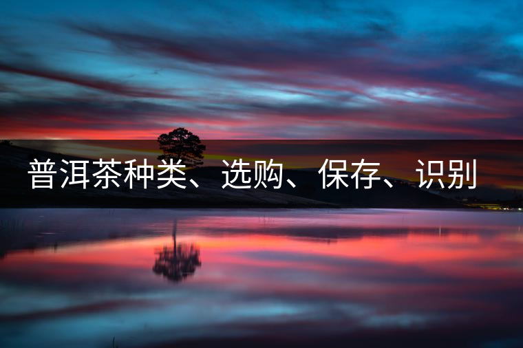 普洱茶種類、選購(gòu)、保存、識(shí)別、沖泡