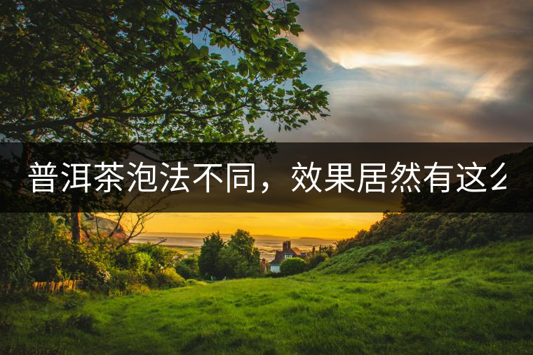 普洱茶泡法不同，效果居然有這么大區(qū)別！