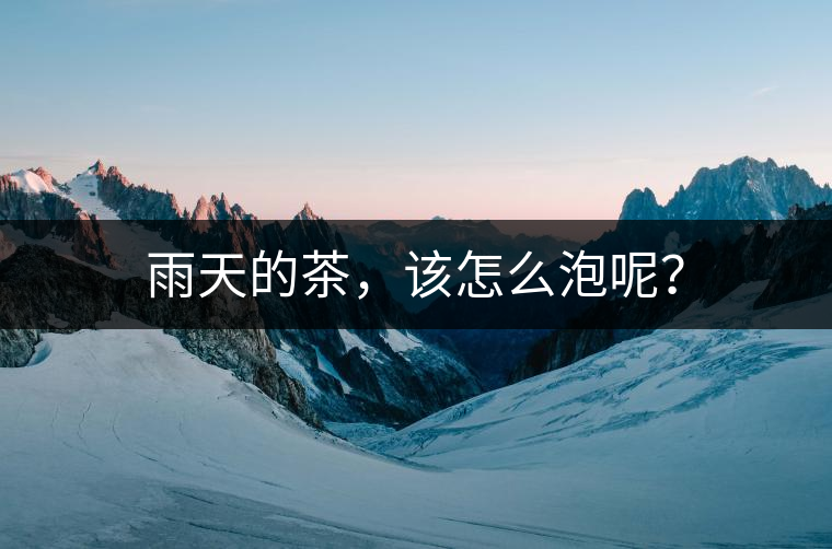 雨天的茶，該怎么泡呢？