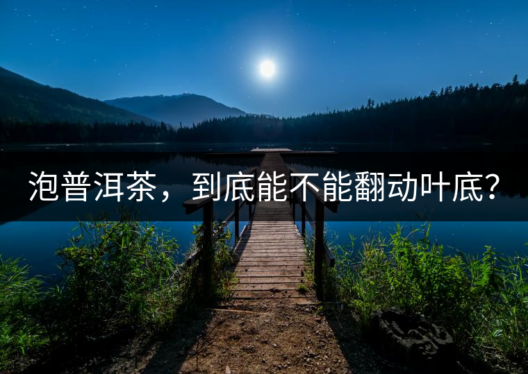 泡普洱茶，到底能不能翻動(dòng)葉底？