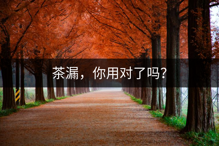 茶漏，你用對(duì)了嗎？
