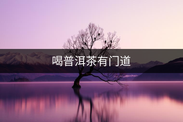 喝普洱茶有門道 喝普洱茶有門道