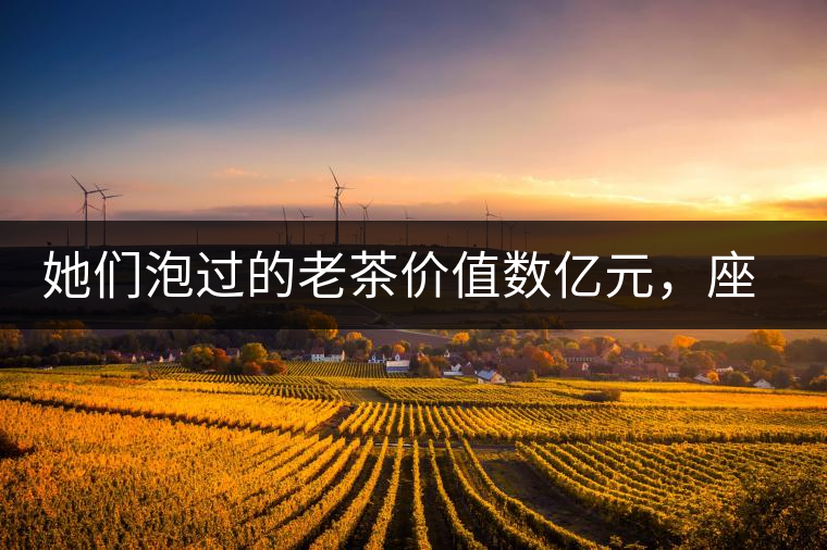 她們泡過的老茶價值數(shù)億元，座上賓是余秋雨、李云迪……