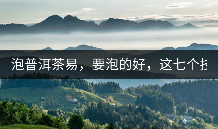 泡普洱茶易，要泡的好，這七個(gè)技巧很重要！