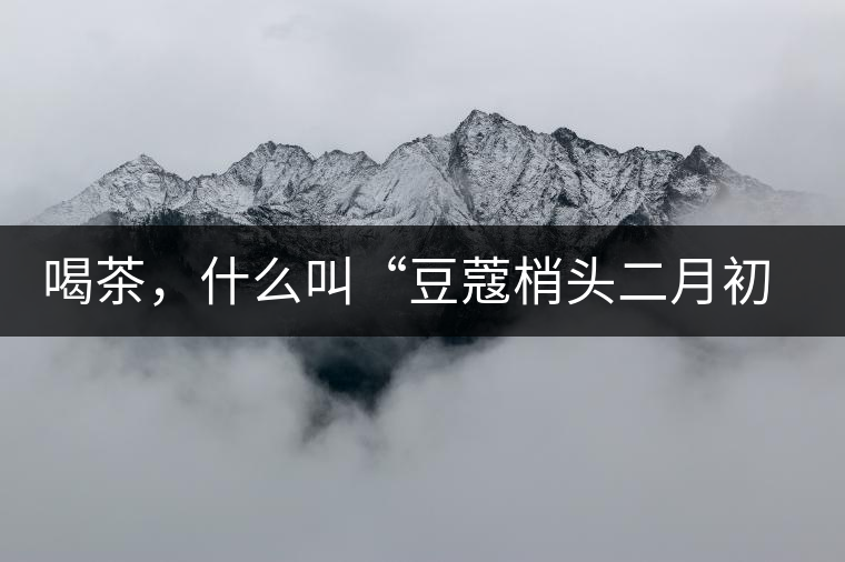 喝茶，什么叫“豆蔻梢頭二月初”？