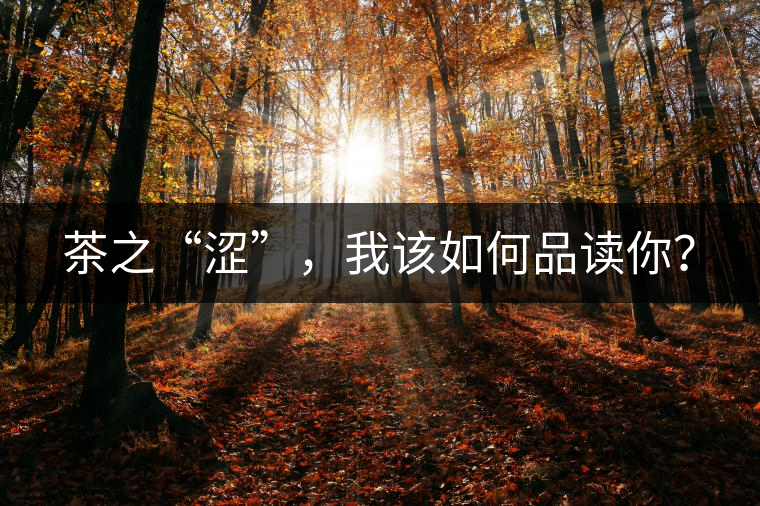 茶之“澀”，我該如何品讀你？