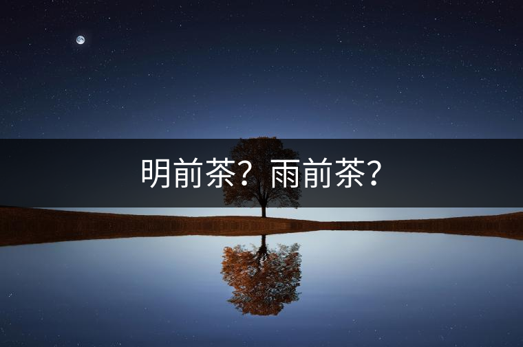 明前茶？雨前茶？