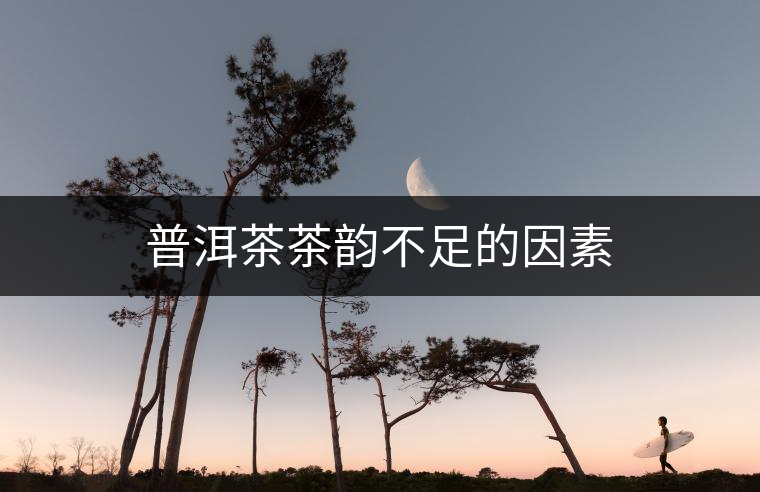 普洱茶茶韻不足的因素 普洱茶茶韻不足的因素