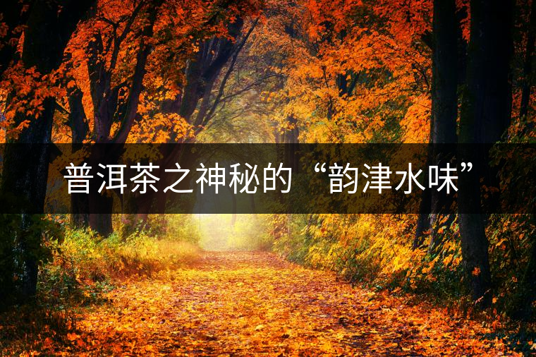 普洱茶之神秘的“韻津水味”