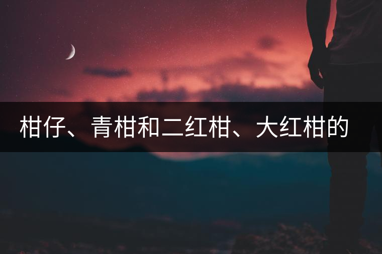 柑仔、青柑和二紅柑、大紅柑的區(qū)別，你可知道？