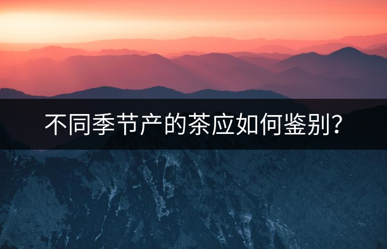 不同季節(jié)產(chǎn)的茶應如何鑒別？