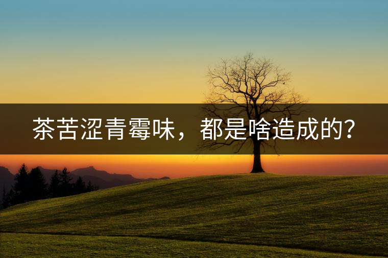 茶苦澀青霉味，都是啥造成的？