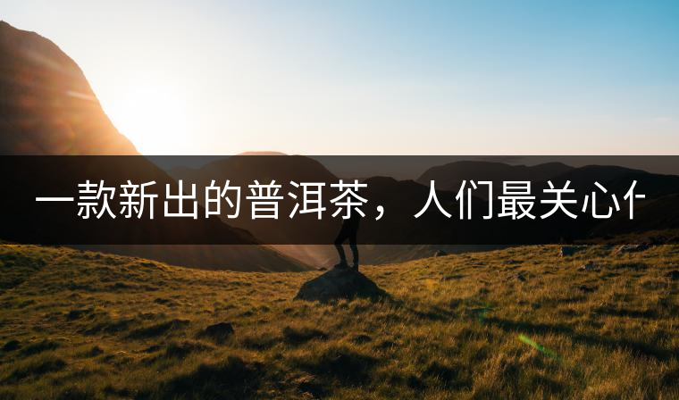 一款新出的普洱茶，人們最關(guān)心什么?