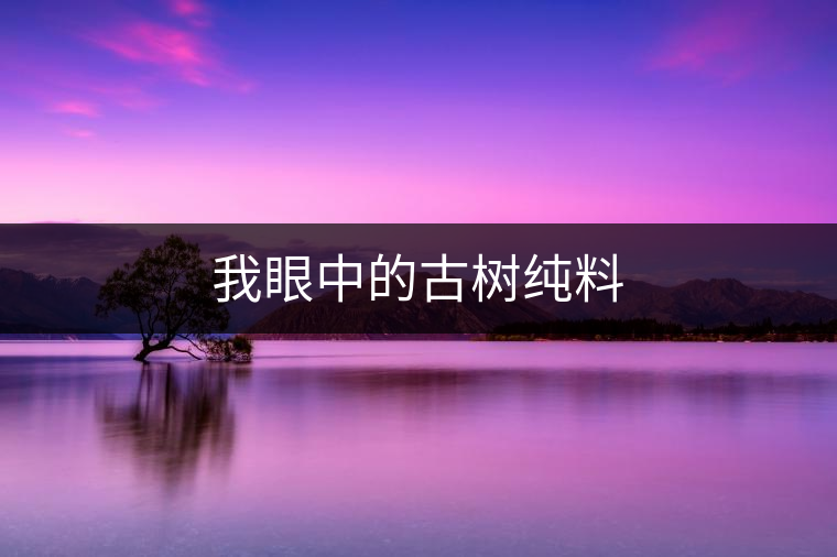 我眼中的古樹純料 我眼中的古樹純料