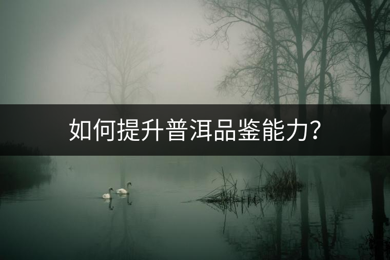 如何提升普洱品鑒能力？