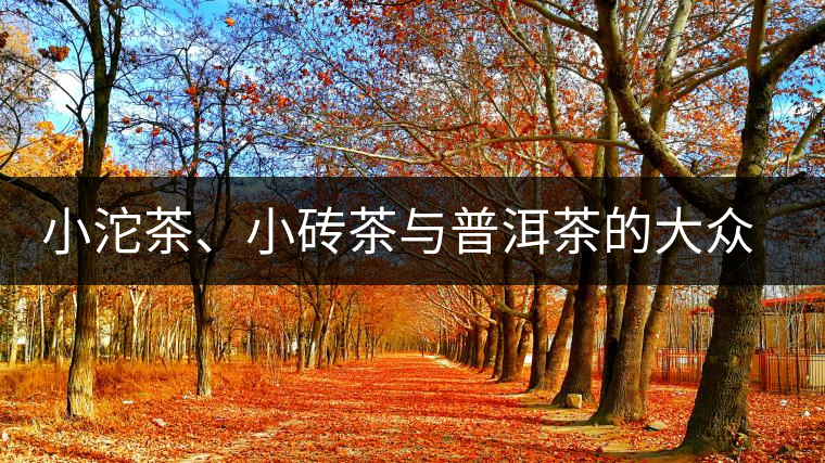 小沱茶、小磚茶與普洱茶的大眾化之路