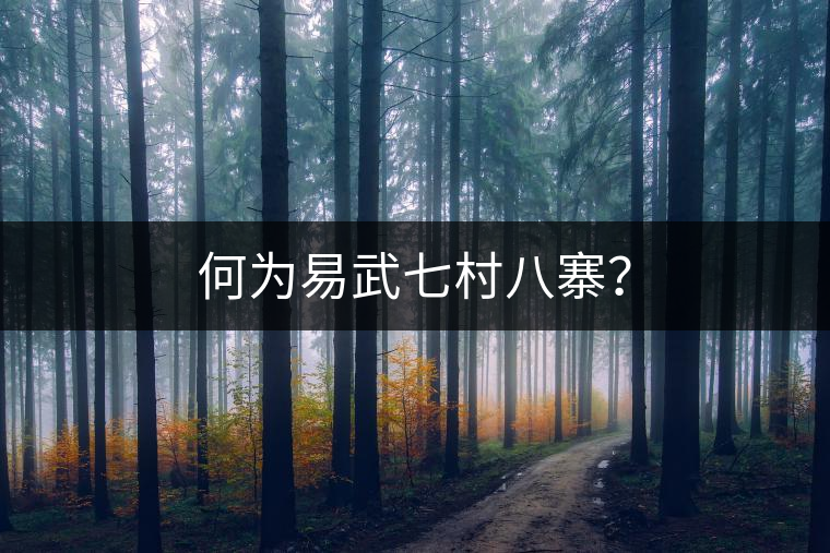 何為易武七村八寨？