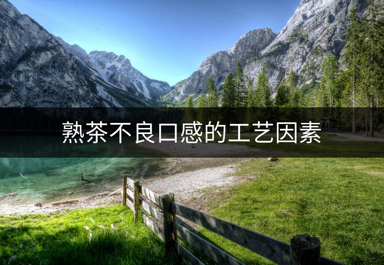 熟茶不良口感的工藝因素 熟茶不良口感的工藝因素
