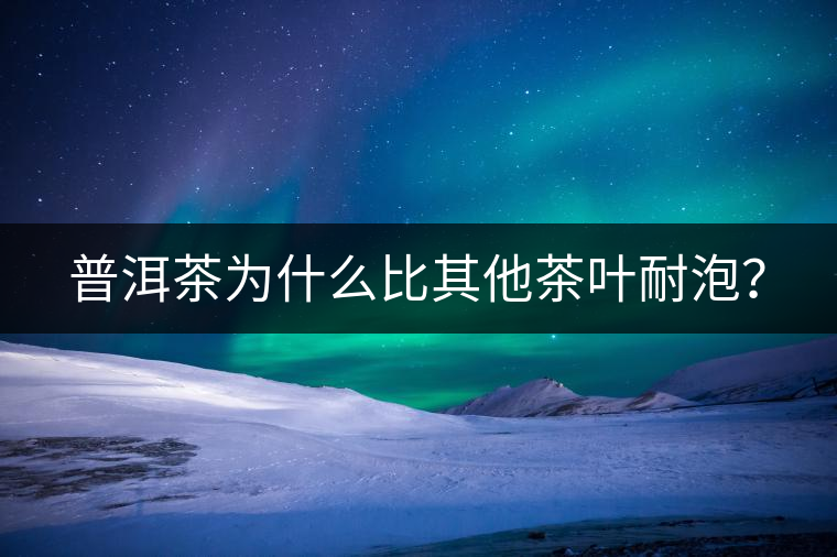 普洱茶為什么比其他茶葉耐泡？