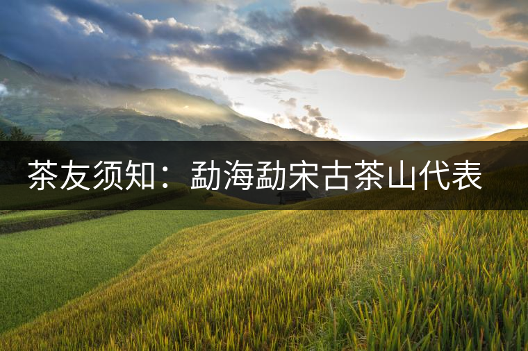 茶友須知:勐海勐宋古茶山代表性植株 茶友須知:勐海勐宋古茶山代表性植株