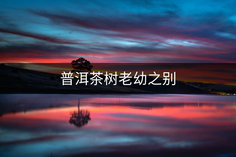 普洱茶樹(shù)老幼之別