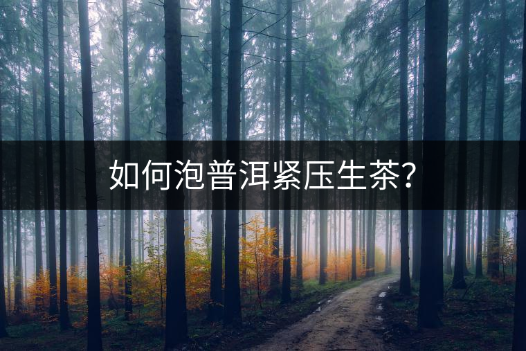 如何泡普洱緊壓生茶？