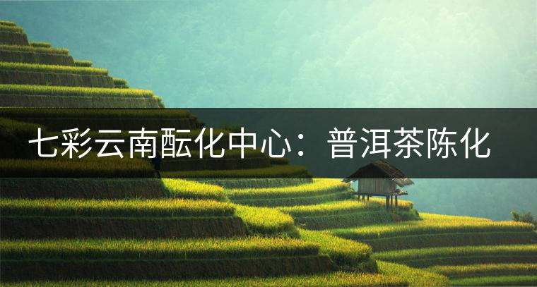 七彩云南醞化中心:普洱茶陳化的藝術(shù) 七彩云南醞化中心:普洱茶陳化的藝術(shù)