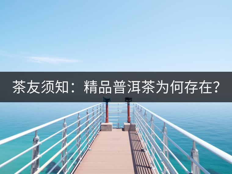 茶友須知：精品普洱茶為何存在？