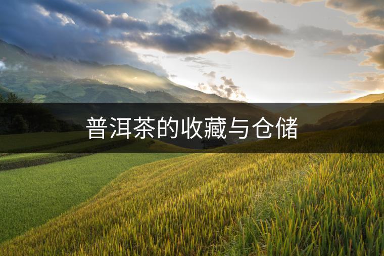 普洱茶的收藏與倉儲(chǔ) 普洱茶的收藏與倉儲(chǔ)