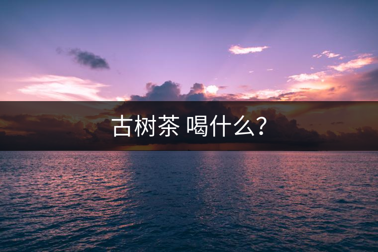 古樹茶 喝什么？
