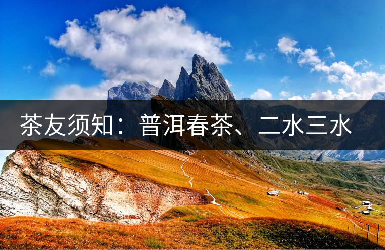茶友須知：普洱春茶、二水三水茶和谷花茶