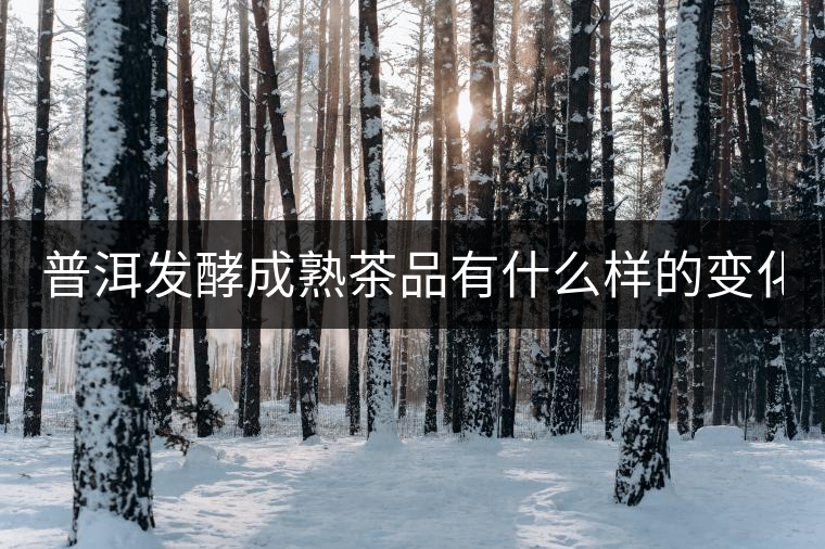 普洱發(fā)酵成熟茶品有什么樣的變化？