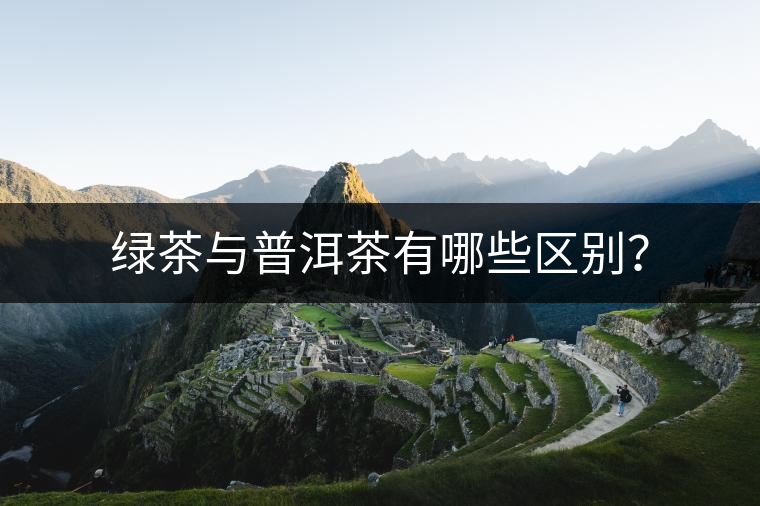 綠茶與普洱茶有哪些區(qū)別？