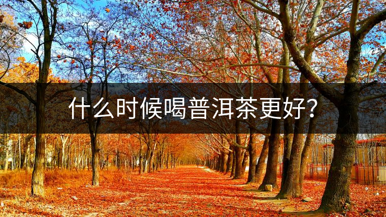 什么時(shí)候喝普洱茶更好？