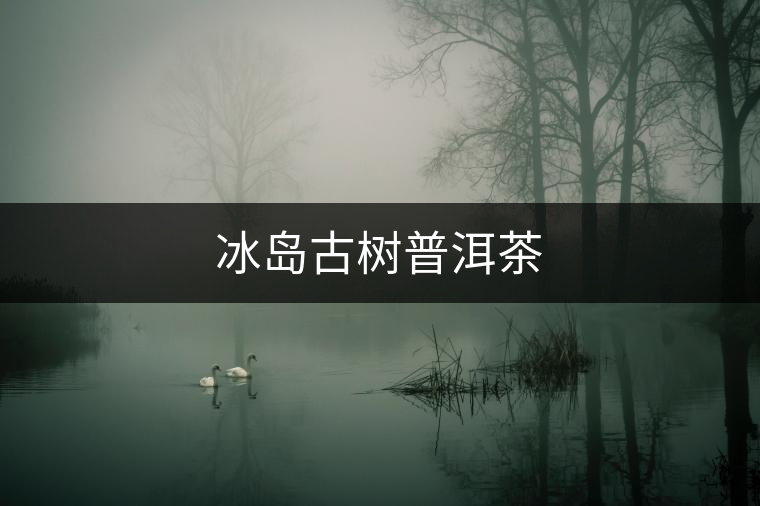 冰島古樹(shù)普洱茶 冰島古樹(shù)普洱茶